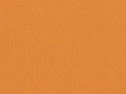 Alendel Empire Voile 118 sheer fabric swatch in Carrot (555)