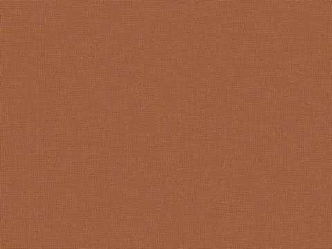 Alendel Empire Voile 118 sheer fabric swatch in Sienna (574)