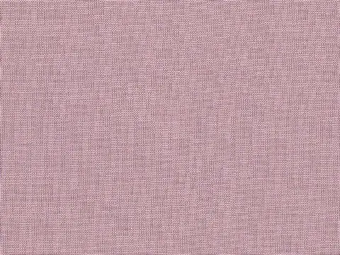 Alendel Empire Voile 118 sheer fabric swatch in Your Majesty (7036)