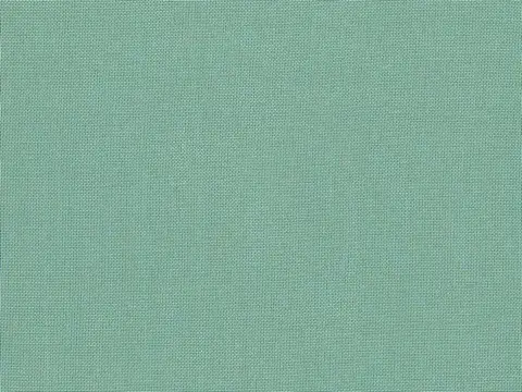 Alendel Empire Voile 118 sheer fabric swatch in Spray (893)