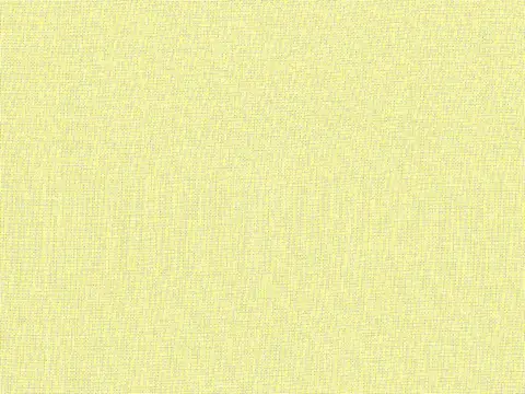 Alendel Empire Voile 118 sheer fabric swatch in Asparagus (906)
