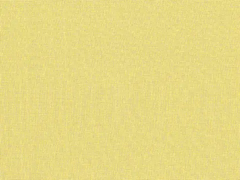 Alendel Empire Voile 118 sheer fabric swatch in Moss (963)