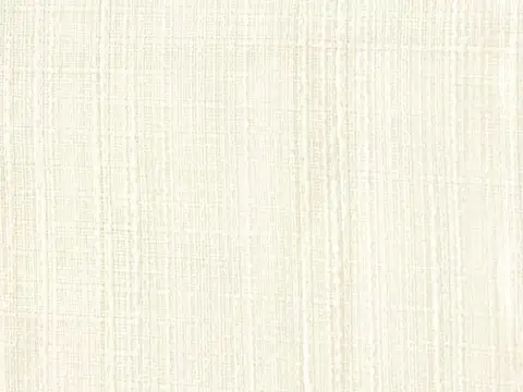 Alendel Erebus sheer fabric swatch in Ivory (0103)