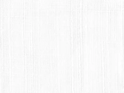 Alendel Erebus sheer fabric swatch in Snow (0143)