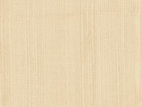 Alendel Erebus sheer fabric swatch in Beach (0212)