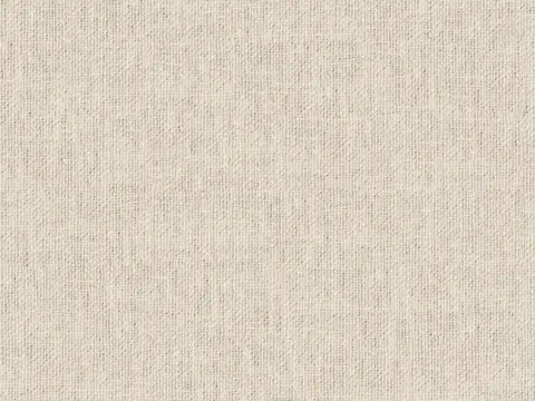 Alendel Esquire drapery fabric swatch in Swan (0148)