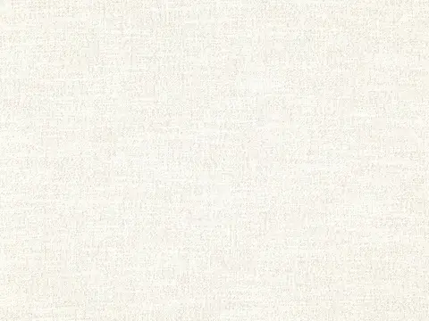 Alendel Esquire drapery fabric swatch in Ecru (0267)