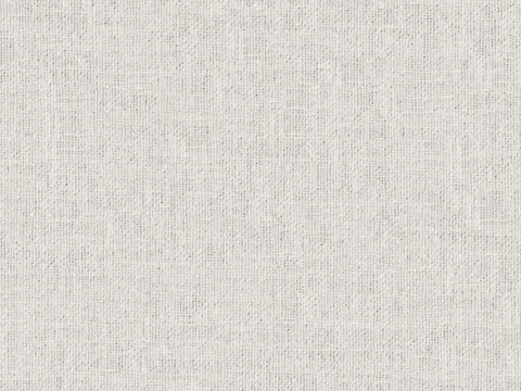 Alendel Esquire drapery fabric swatch in Fog (0440)