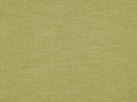 Alendel Esquire drapery fabric swatch in Avocado (0907)