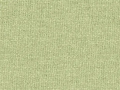 Alendel Esquire drapery fabric swatch in Celery (0912)