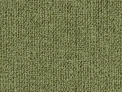 Alendel Esquire drapery fabric swatch in Endive (0925)