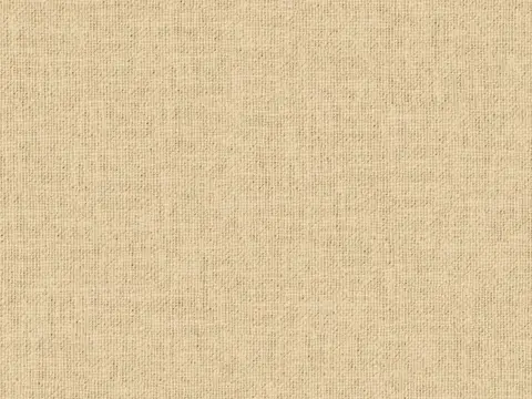 Alendel Esquire drapery fabric swatch in Nude (2000)