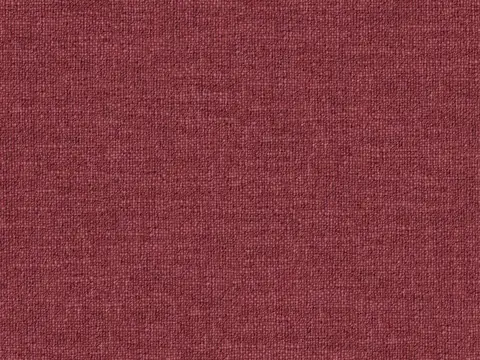 Alendel Esquire drapery fabric swatch in Dubarry (6504)