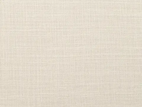 Alendel Evolve sheer fabric swatch in Winter White (101)