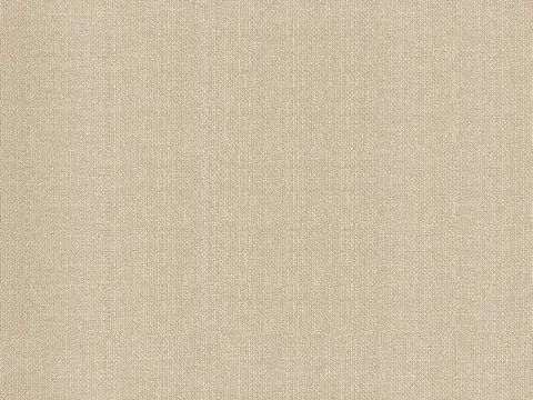 Alendel Fluid drapery fabric swatch in Crema (0254)