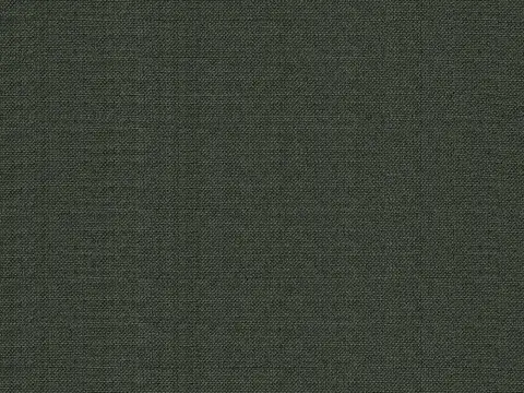 Alendel Fluid drapery fabric swatch in Anise (0450)