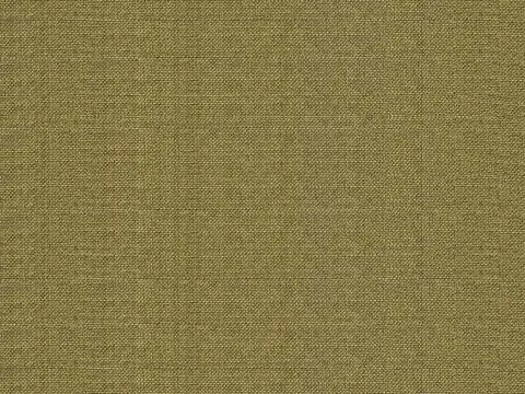 Alendel Fluid drapery fabric swatch in Kiwi (0951)