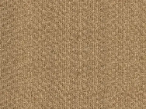Alendel Fluid drapery fabric swatch in Wheat (2061)