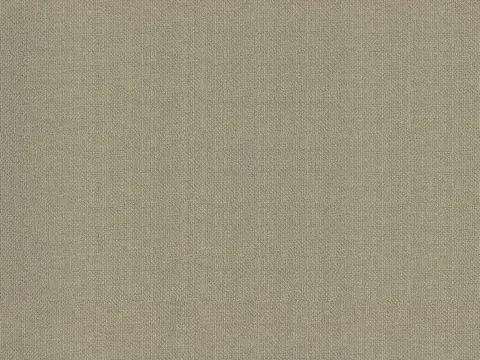 Alendel Fluid drapery fabric swatch in Timber (3005)