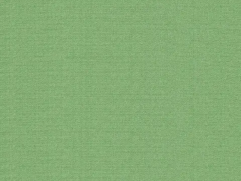 Alendel Fluid drapery fabric swatch in Chive (914)
