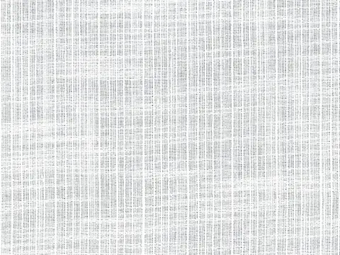 Alendel Force sheer fabric swatch in Winter White (101)