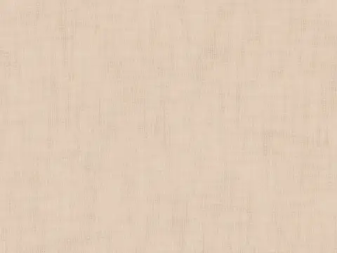 Alendel Frankfurt 145" sheer fabric swatch in Champagne (0203)