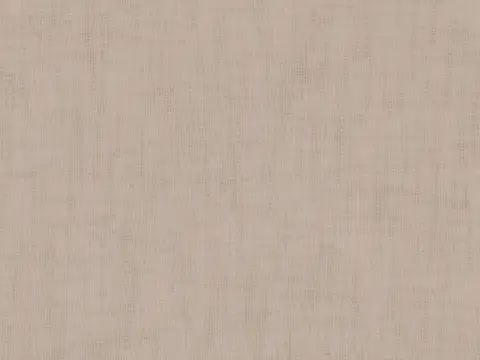 Alendel Frankfurt 145" sheer fabric swatch in Clamshell (0423)