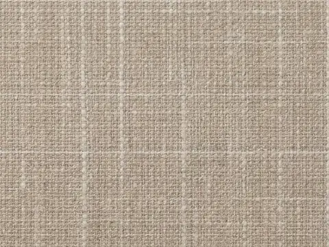 Alendel Frosting drapery fabric swatch in Cord (0249)
