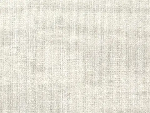 Alendel Frosting drapery fabric swatch in Cream (0252)