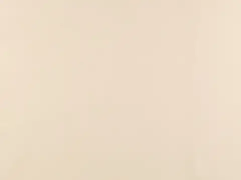 Alendel Galaxy Voile 118 sheer fabric swatch in Coffee (339)