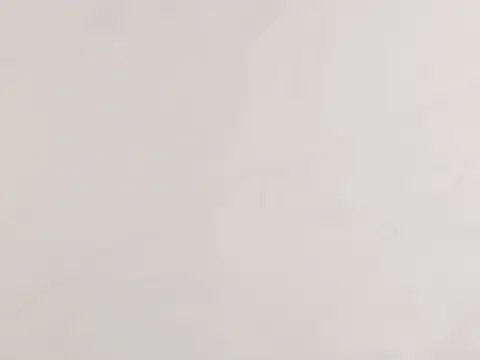 Alendel Galaxy Voile 118 sheer fabric swatch in Grey (449)