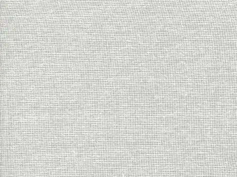 Alendel Glaze sheer fabric swatch in Winter White (0101)
