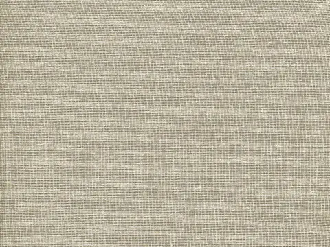 Alendel Glaze sheer fabric swatch in Taupe (2049)