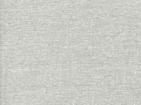 Alendel Glaze sheer fabric swatch in Silver (4067)