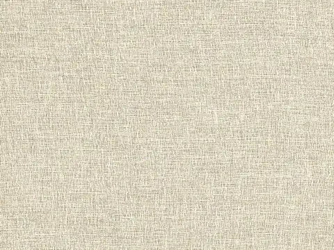 Alendel Gleam sheer fabric swatch in Wheat (2061)