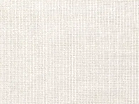 Alendel Glisten sheer fabric swatch in White (100)