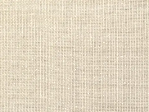 Alendel Glisten sheer fabric swatch in Wheat (2061)