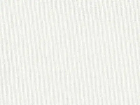 Alendel Grenoble sheer fabric swatch in Winter White (101)