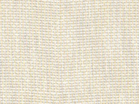 Alendel Hera sheer fabric swatch in Straw (2046)