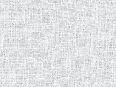 Alendel Hopkins sheer fabric swatch in Winter White (101)