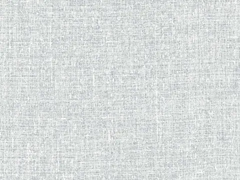 Alendel Hopkins sheer fabric swatch in Powdered Snow (1024)