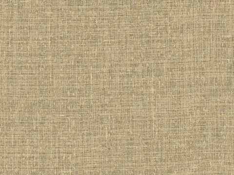 Alendel Hopkins sheer fabric swatch in Putty (2014)
