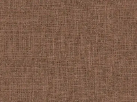 Alendel Hopkins sheer fabric swatch in Twig Basket (3099)