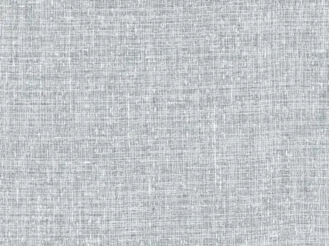 Alendel Hopkins sheer fabric swatch in Silver (4067)