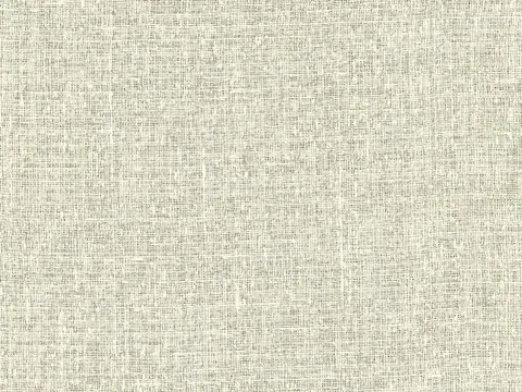 Alendel Hopkins sheer fabric swatch in Oyster Grey (4151)