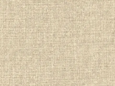 Alendel Hopkins sheer fabric swatch in Turtle Dove (4200)
