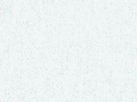 Alendel Interlace drapery fabric swatch in Snow (0143)