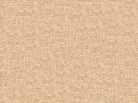 Alendel Interlace drapery fabric swatch in Nude (2000)
