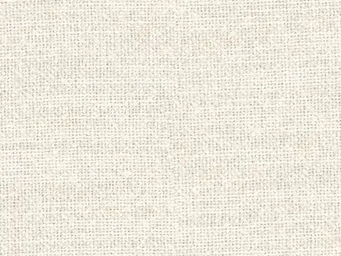 Alendel Interlace drapery fabric swatch in Oat (2001)