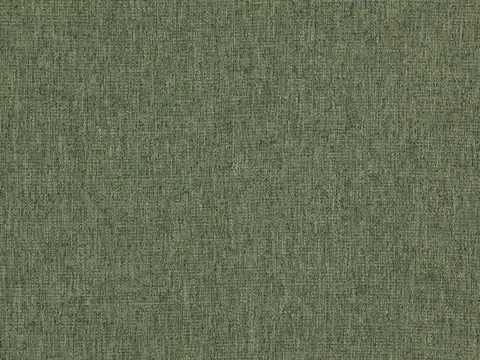 Alendel Jones drapery fabric swatch in Grass (0937)